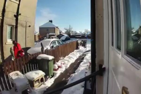 STARICA SE OKLIZNULA I OSTALA DA LEŽI U SNEGU: Poštar odbio da joj pomogne, rekao da je PREUMORAN (VIDEO)
