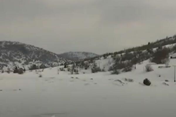 ZABELELA SE I PEŠTERSKA VISORAVAN! Meštanin sela Vrsjenica opisao susret sa vukovima na debelom minusu!