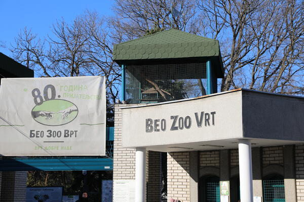 ČUVENA BEKSTVA IZ BEOGRADSKOG ZOO VRTA: Jedan begunac je višestruki povratnik! (VIDEO)