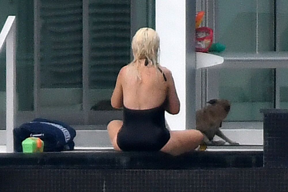 Kristina Agilera sa viškom