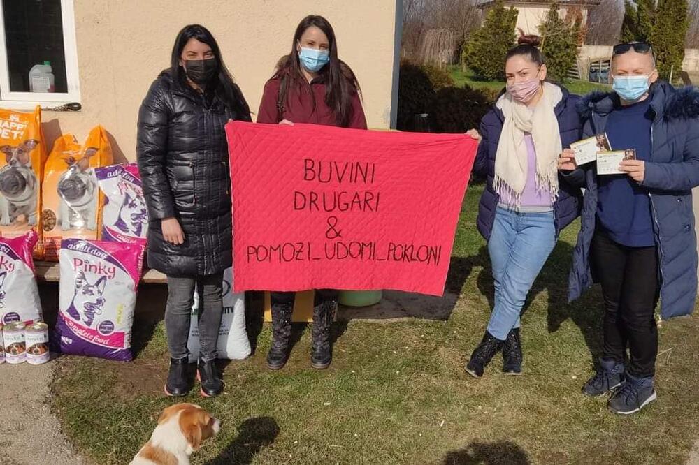 DEVOJKE SU DANAS DONIRALE 120 KG HRANE: Svako od nas utorkom i petkom može da pomogne ovom AZILU i malim ŠAPICAMA!