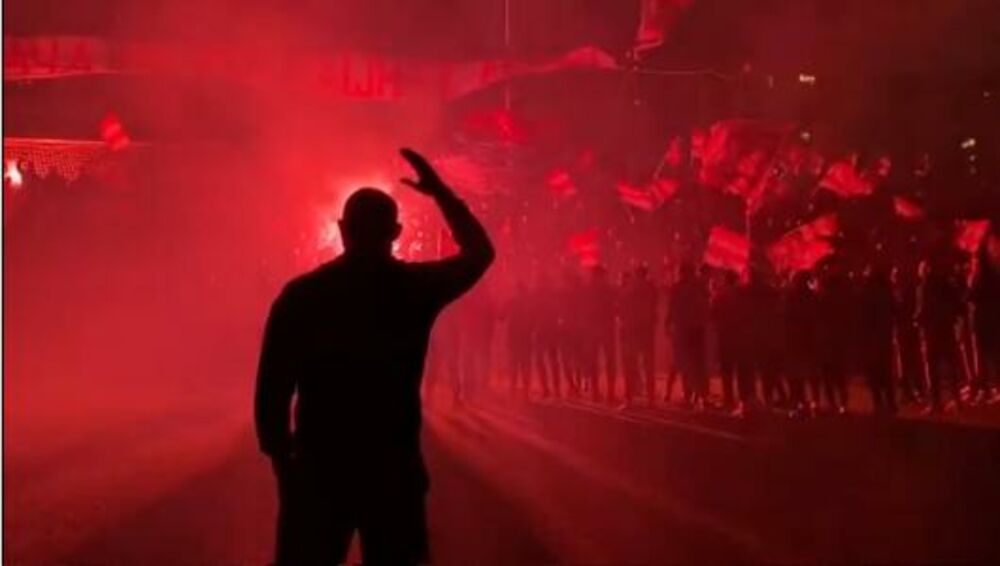 Dejan Stanković, Delije