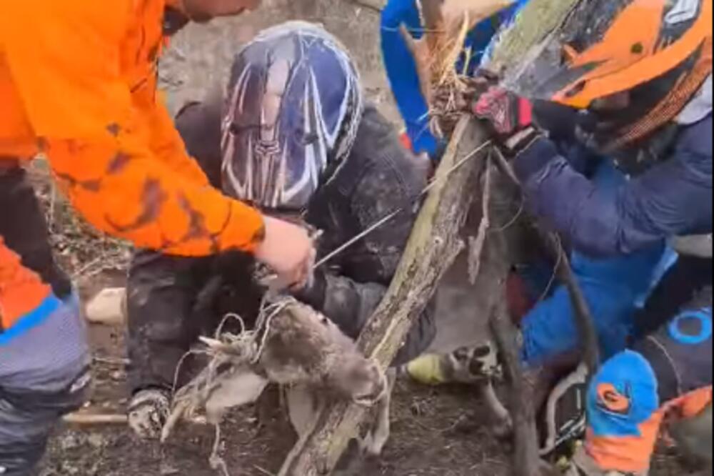 BRAVO MOMCI! Da nije bilo VAS ova priča bi imala TUŽAN KRAJ