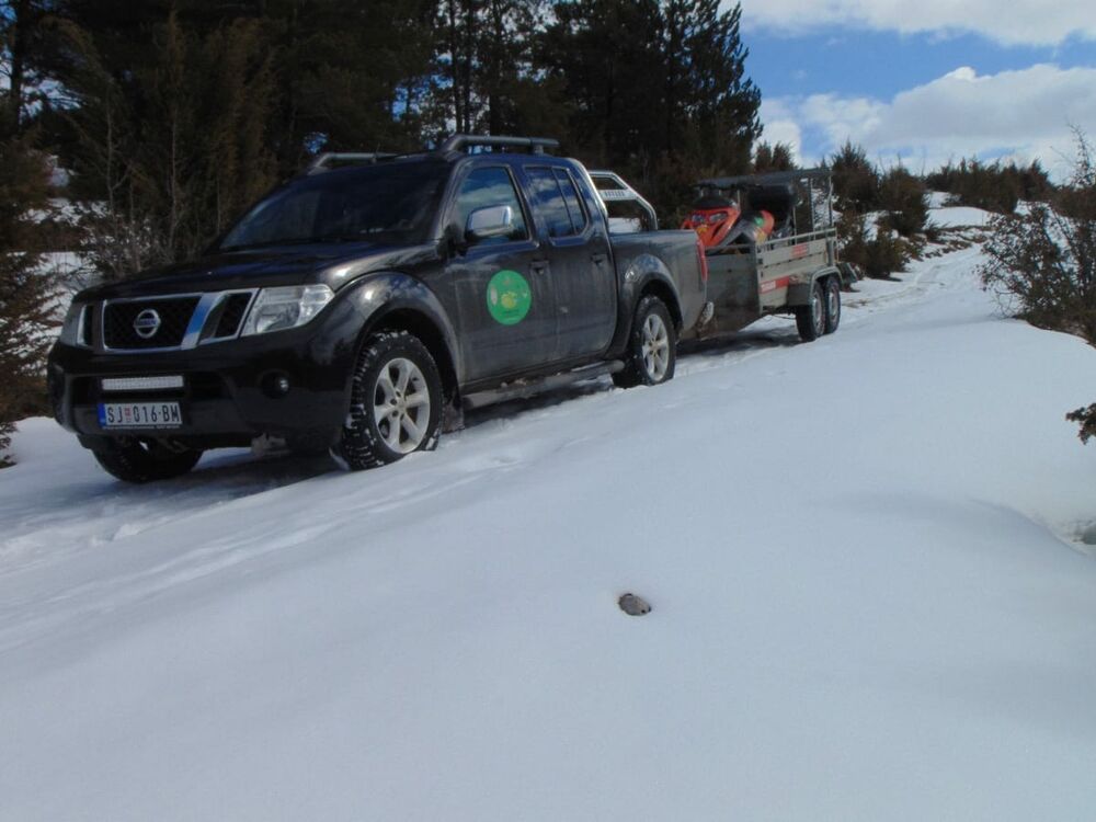 Potraga, Beloglavi sup, Vasilija