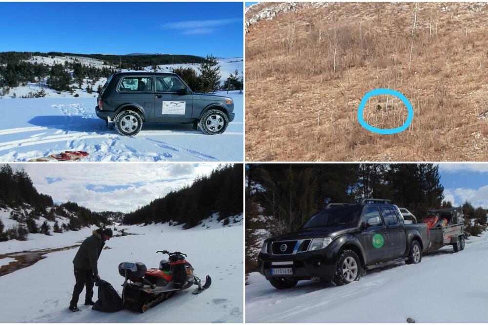 DRAMA NA PEŠTERU: Spasioci stigli do Vasilije, ali ona je POBEGLA ČIM IH JE VIDELA! (FOTO)