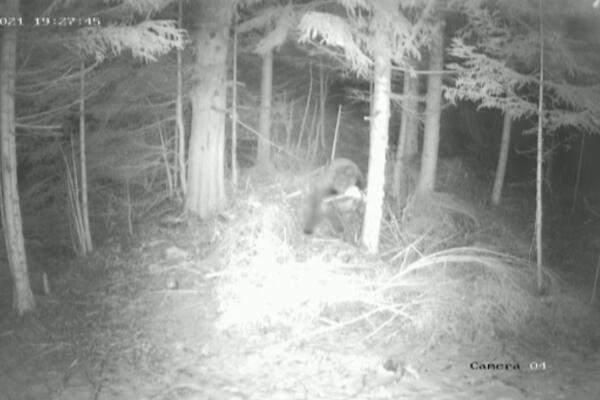 MILOŠ I MALIŠA SNIMLJENI KAKO JEDU: Hranili su se 3 puna sata! (FOTO)