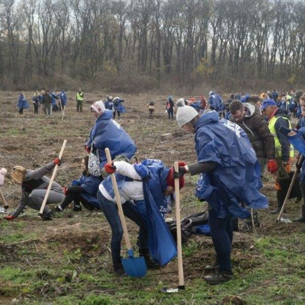 U NAJVEĆOJ AKCIJI SADNJE &bdquo;ZASADI DRVO&ldquo; DO SADA POSAĐENO 140.000 SADNICA I PRIKUPLJENO 1,5 TONA SEMENA