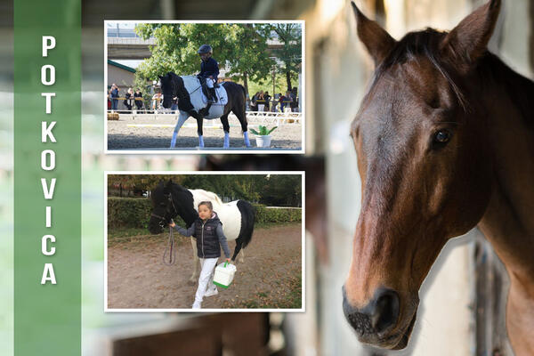 DECA NE ŽELE DA SE RASTANU OD SVOG OMILJENOG KONJA: Saznajte sve o HIPOTERAPIJI u Srbiji, priča je PRELEPA! (FOTO)
