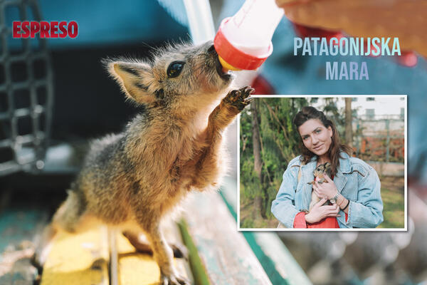 ZOVEM SE SREĆKO, A MAMA ME JE NAPUSTILA KAD SAM BIO BEBA! Posetili smo i mazili NAJSLAĐU MARU u Srbiji! (VIDEO)