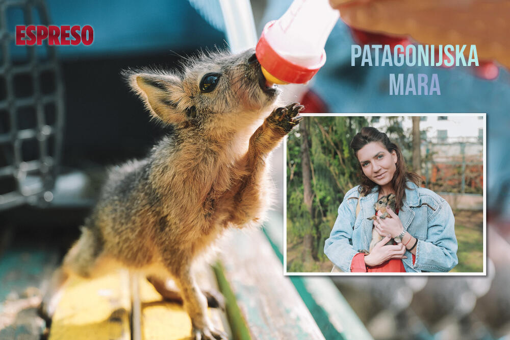 ZOVEM SE SREĆKO, A MAMA ME JE NAPUSTILA KAD SAM BIO BEBA! Posetili smo i mazili NAJSLAĐU MARU u Srbiji! (VIDEO)