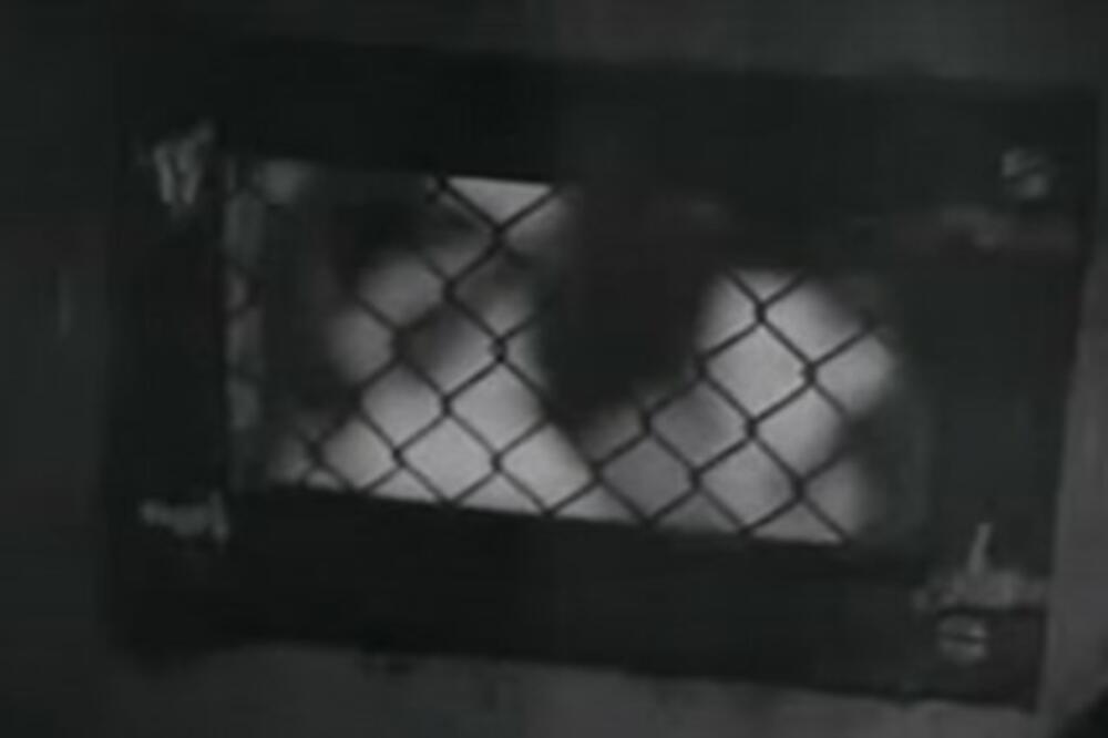 ŽENU DŽELATA IZ AUŠVICA SU ZVALI ZVER: Ubijala je bez ikakvog povoda i oklevanja, previše je krvi na njenim rukama