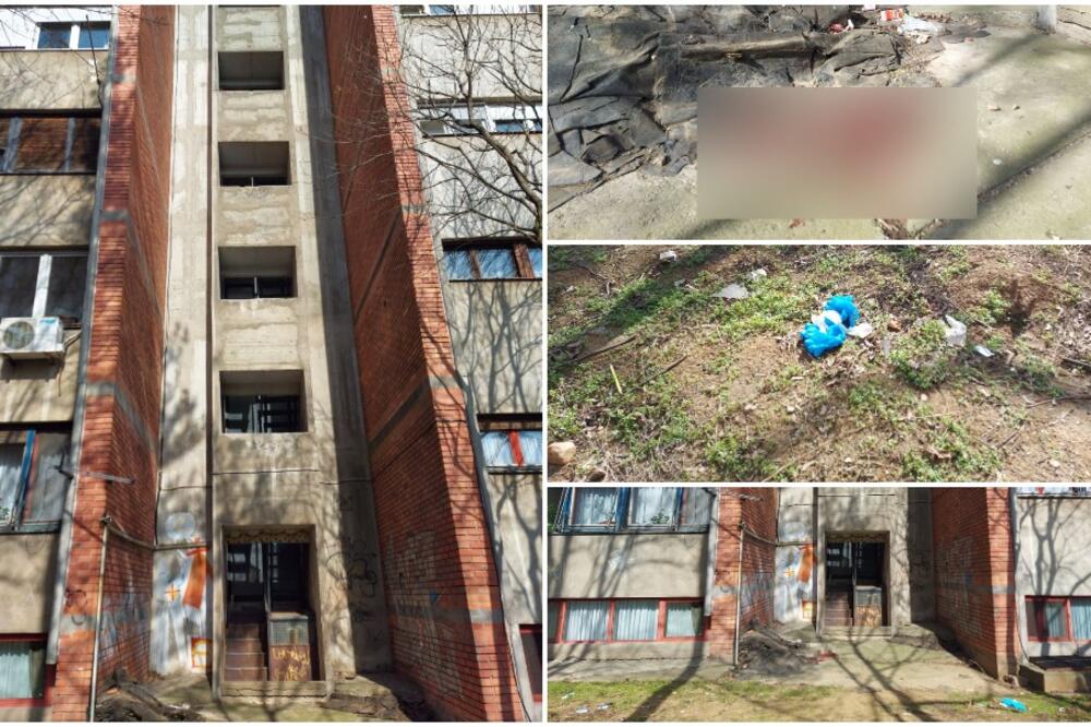 IMALA JE CRNU KOSU, BILA JE BEZ VEŠA! Komšija zatekao mrtvu devojku na Vidikovcu, ispričao je JEZIVE detalje (FOTO)