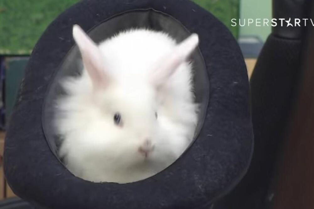 Cirkus je prerano otišao iz našega grada