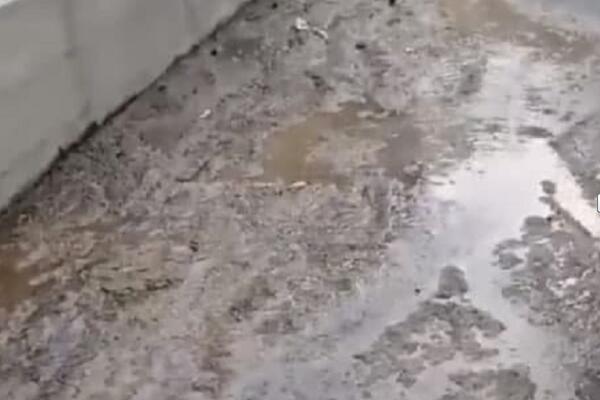 PRIZOR IZ MIRIJEVA ZGROZIO GRAĐANE: U Ulici Matice srpske plivaju FEKALIJE, ovo je ZARAZA U NAJAVI (FOTO)