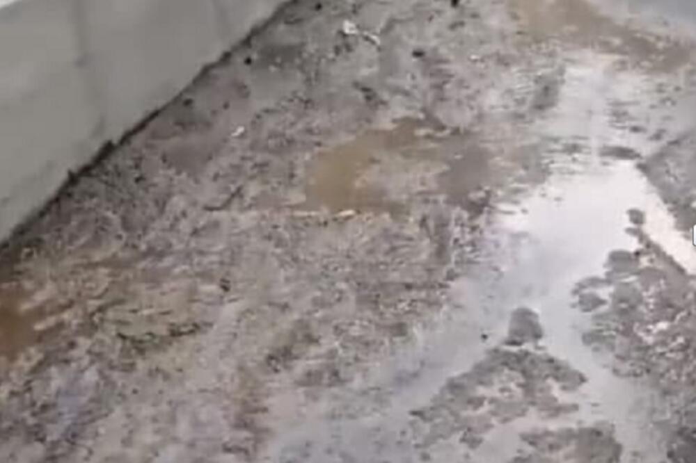 PRIZOR IZ MIRIJEVA ZGROZIO GRAĐANE: U Ulici Matice srpske plivaju FEKALIJE, ovo je ZARAZA U NAJAVI (FOTO)