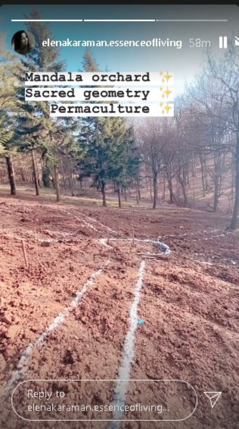 Elena Karaman Karić