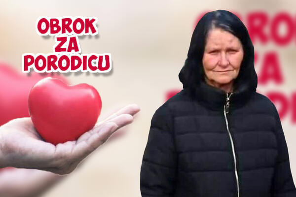 SPAVALA JE NA ULICI, NIJE JELA DANIMA: ZahvaljujućI dobrim ljudima, stigle su NAJBOLJE MOGUĆE VESTI O JULKI! (FOTO)