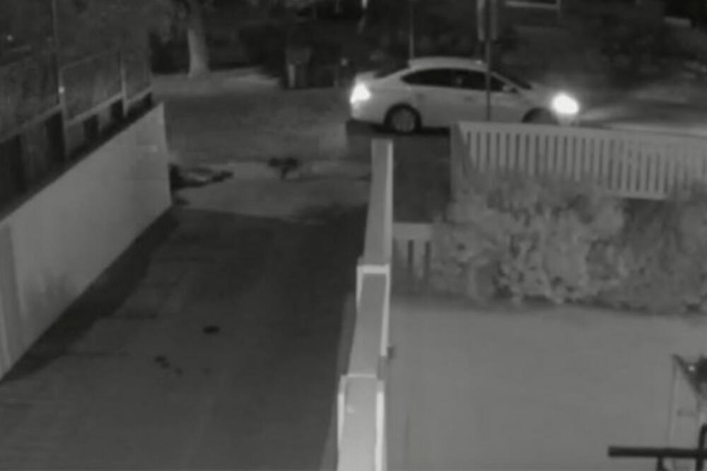 PREVIŠE JE JEZIVO: Isplivao snimak gde napadači pucaju u čoveka i kradu pse Ledi Gage, UPUCAN 4 PUTA! (VIDEO)