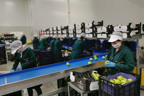 PORODIČNA FIRMA KAO SIMBOL POBEDE! Investiraju u hladnjače kod Topole!