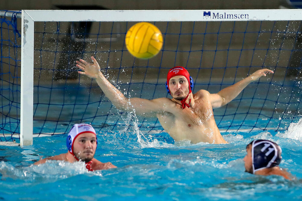 ŠAPČANI SLAVILI POSLE DRAME U KRAGUJEVCU! Novi Beograd ubedljiv protiv Zvezde, uskoro revanši!