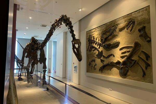 OVA NEVEROVATNA IZLOŽBA SE NALAZI U SRBIJI! Prirodnjački centar sutra OTVARA SEZONU!