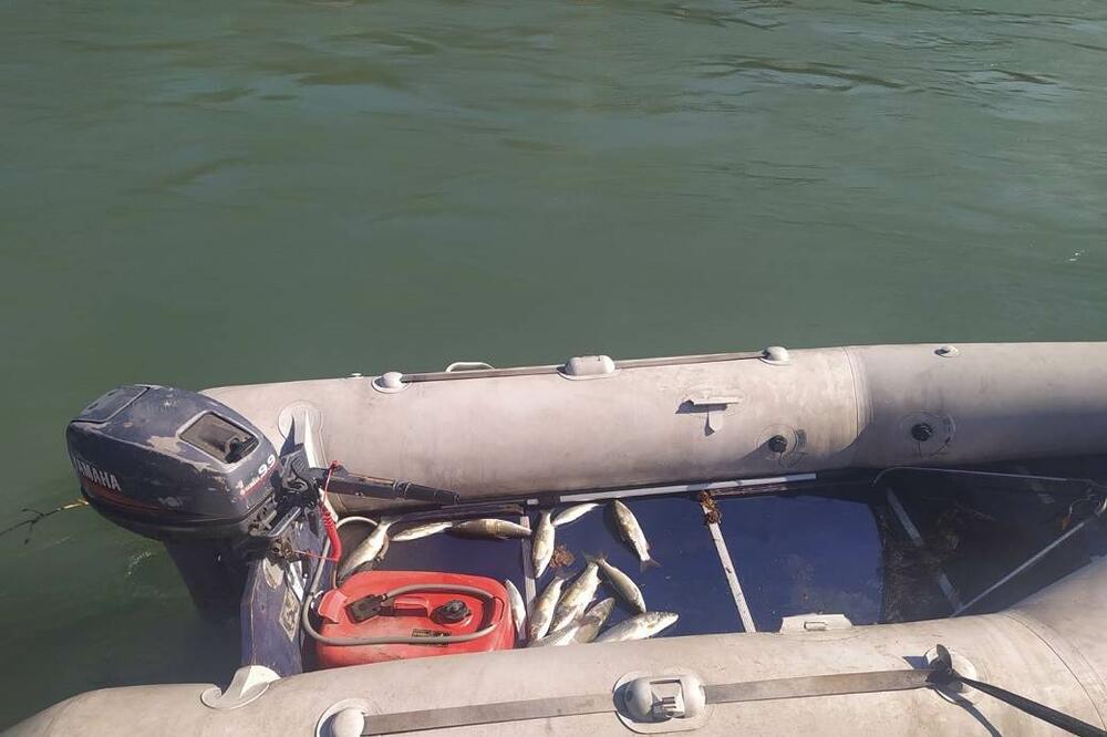 APATINAC UPECAO KAPITALCA TEŠKOG 72 KILOGRAMA I DUGOG VIŠE OD 2 METRA: Mučio se SAT VREMENA