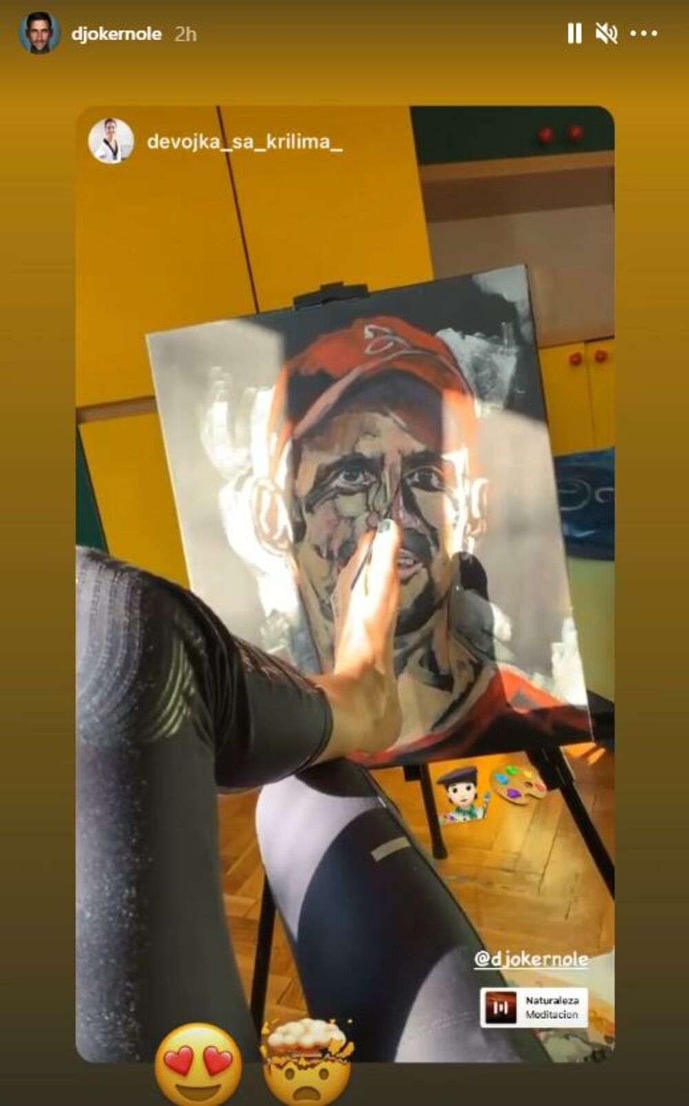 Portret Novaka Đokovića, Dejana Bačko