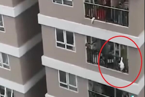 DRAMATIČNA SCENA! Snimljen pad devojčice (2) sa 12. sprata, ceo svet priča o ovome! (JAKO UZNEMIRUJUĆ SNIMAK)