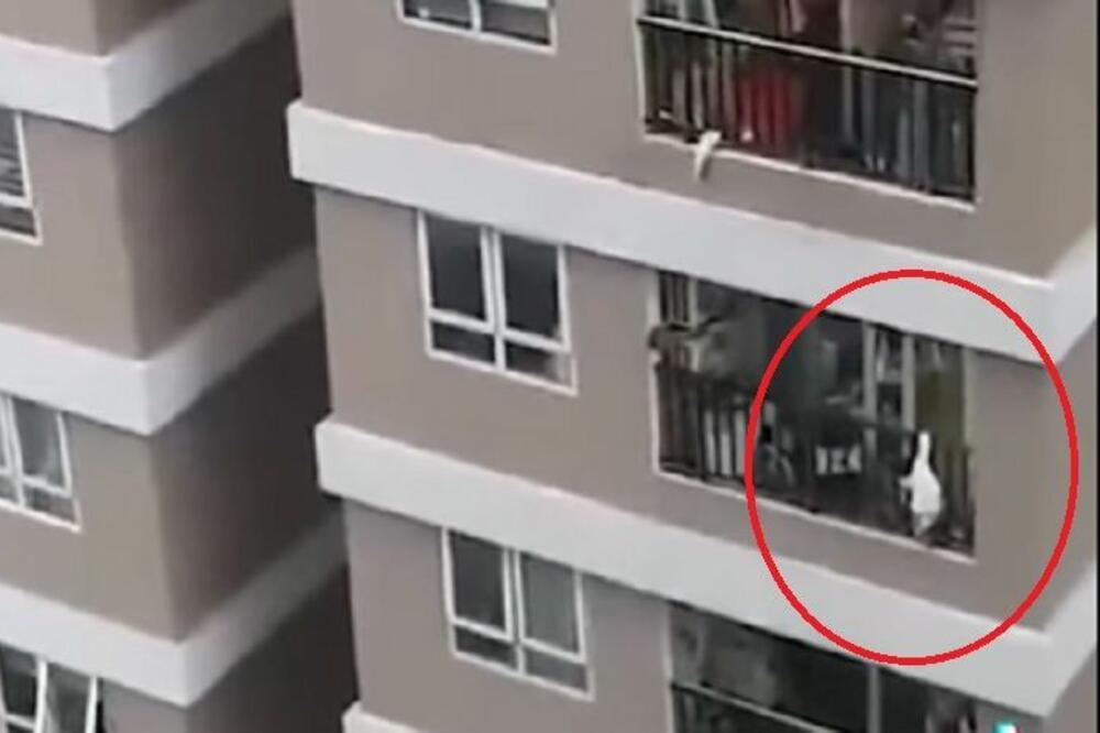 DRAMATIČNA SCENA! Snimljen pad devojčice (2) sa 12. sprata, ceo svet priča o ovome! (JAKO UZNEMIRUJUĆ SNIMAK)