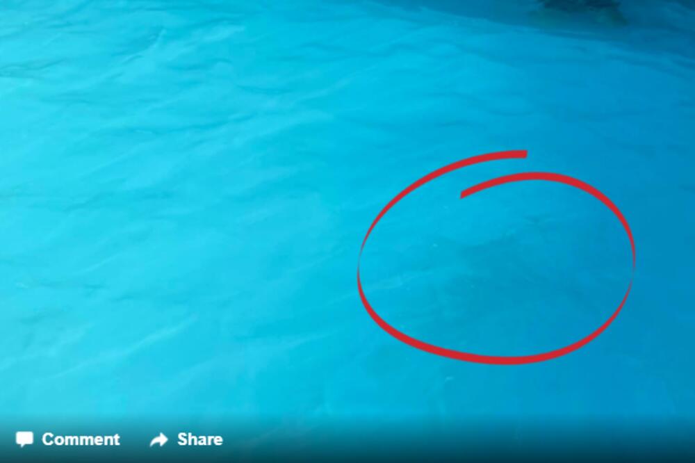 NEMOJTE MISLITI DA JE SAMO VODA NA FOTOGRAFIJI: Varate se, upozorenje se širi društvenim mrežama!