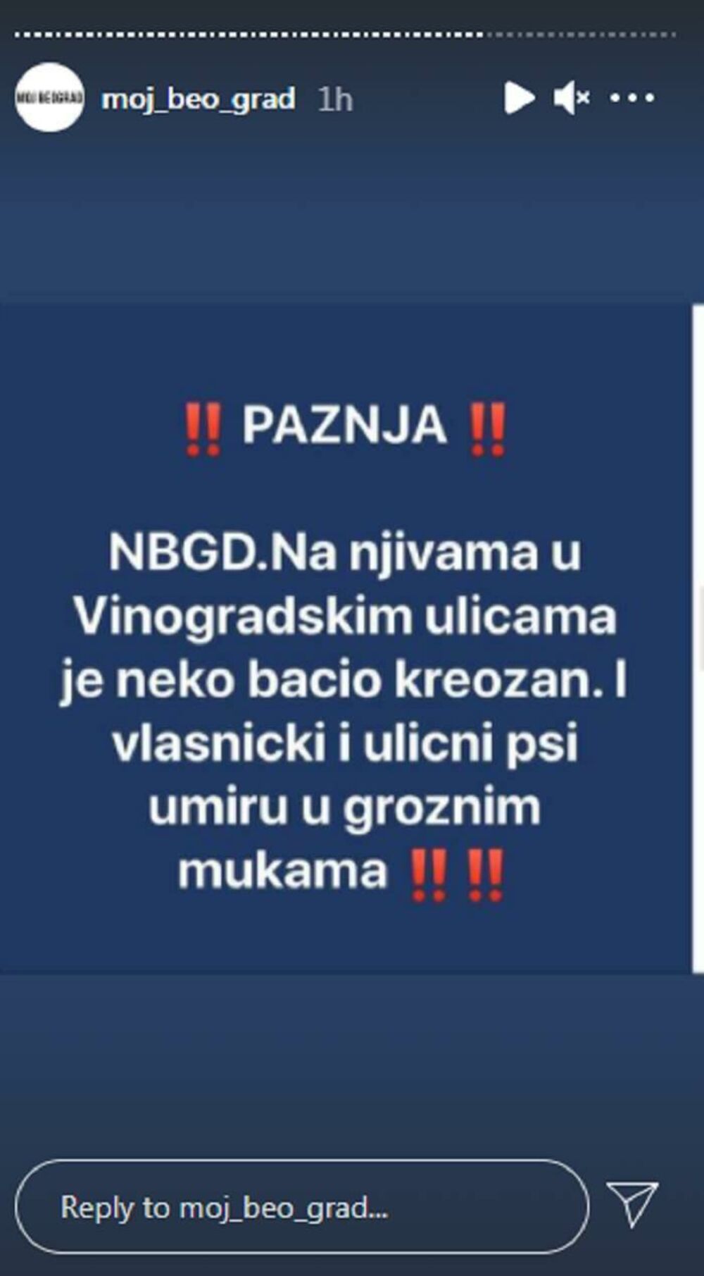 Pažnja