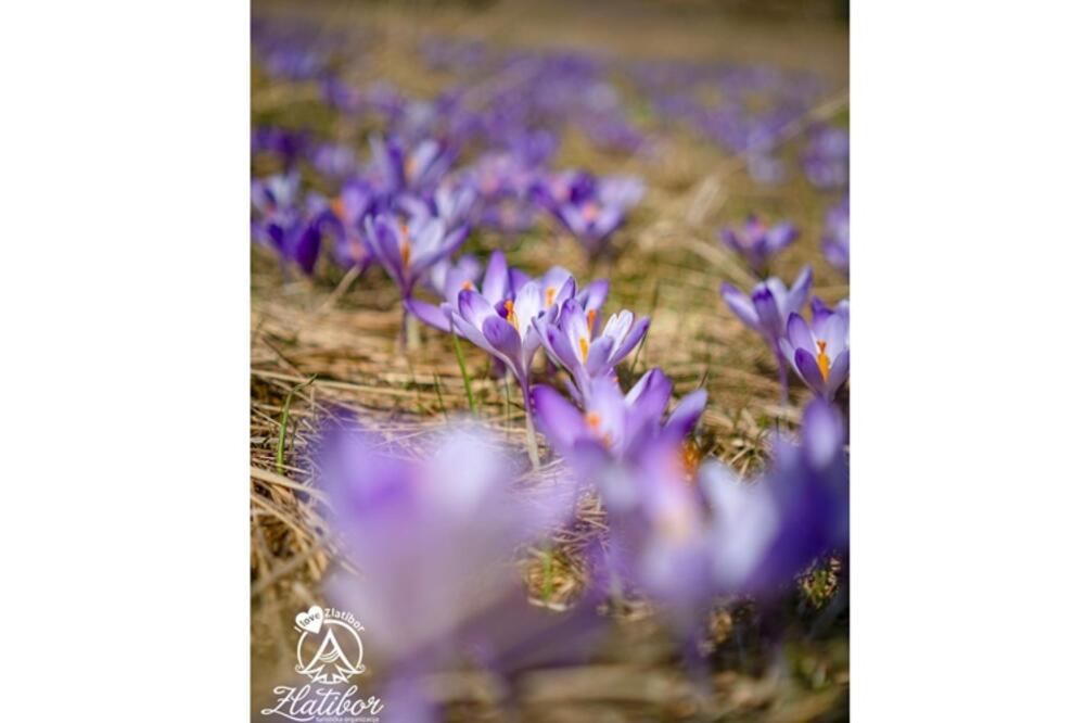 PROLEĆE NAM STIŽE SUTRA! Tačno u 10 sati i 37 minuta, saopštili su iz Astronomskog društva "Ruđer Bošković"