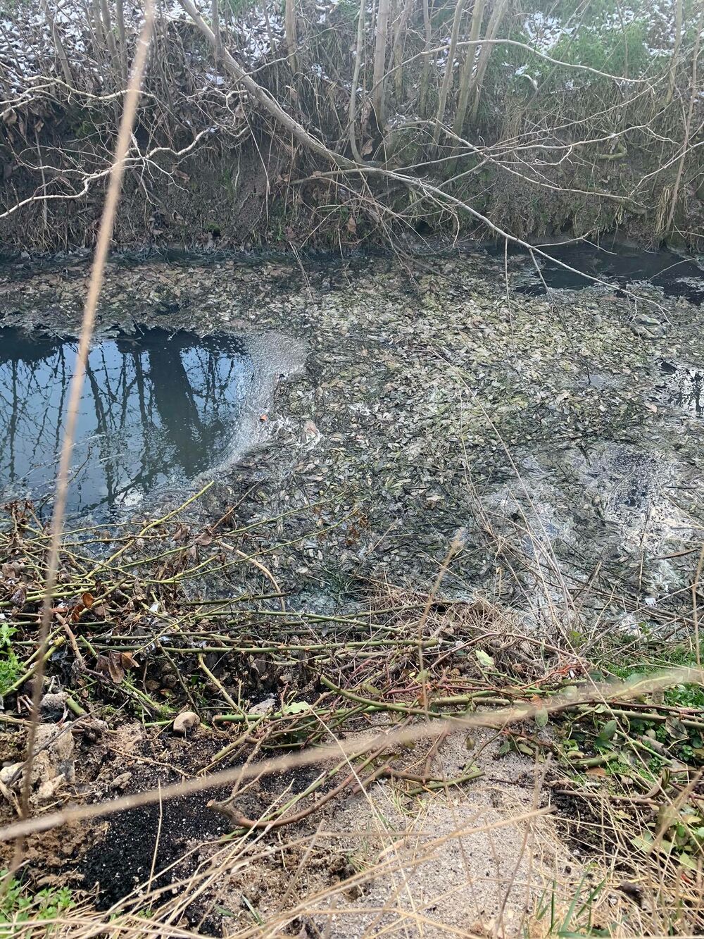 Žitište kanalizacija