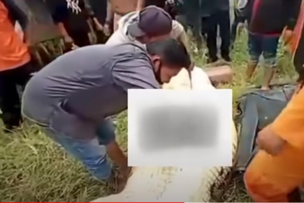 STRAVA I UŽAS, OVO NEMA NI U PAKLU: Krokodil progutao DEČAKA (8)! (UZNEMIRUJUĆI VIDEO)