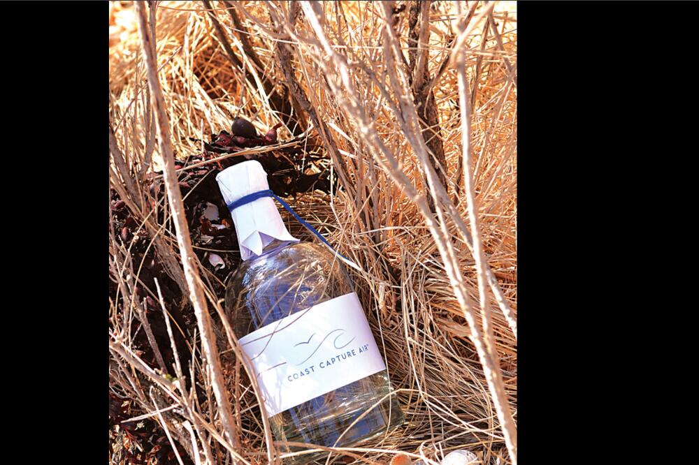 AKO BACATE PLASTIČNE FLAŠE, PRAVITE JEDNU OD NAJVEĆIH GREŠAKA IKAD: Više nećete to raditi kada saznate istinu