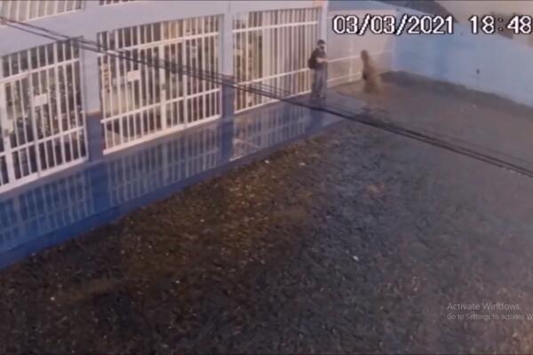 NEZAPAMĆENO BATINJANJE: Mladić prebio lopova, posle ovoga KRAĐA mu neće pasti na pamet ponovo (VIDEO)