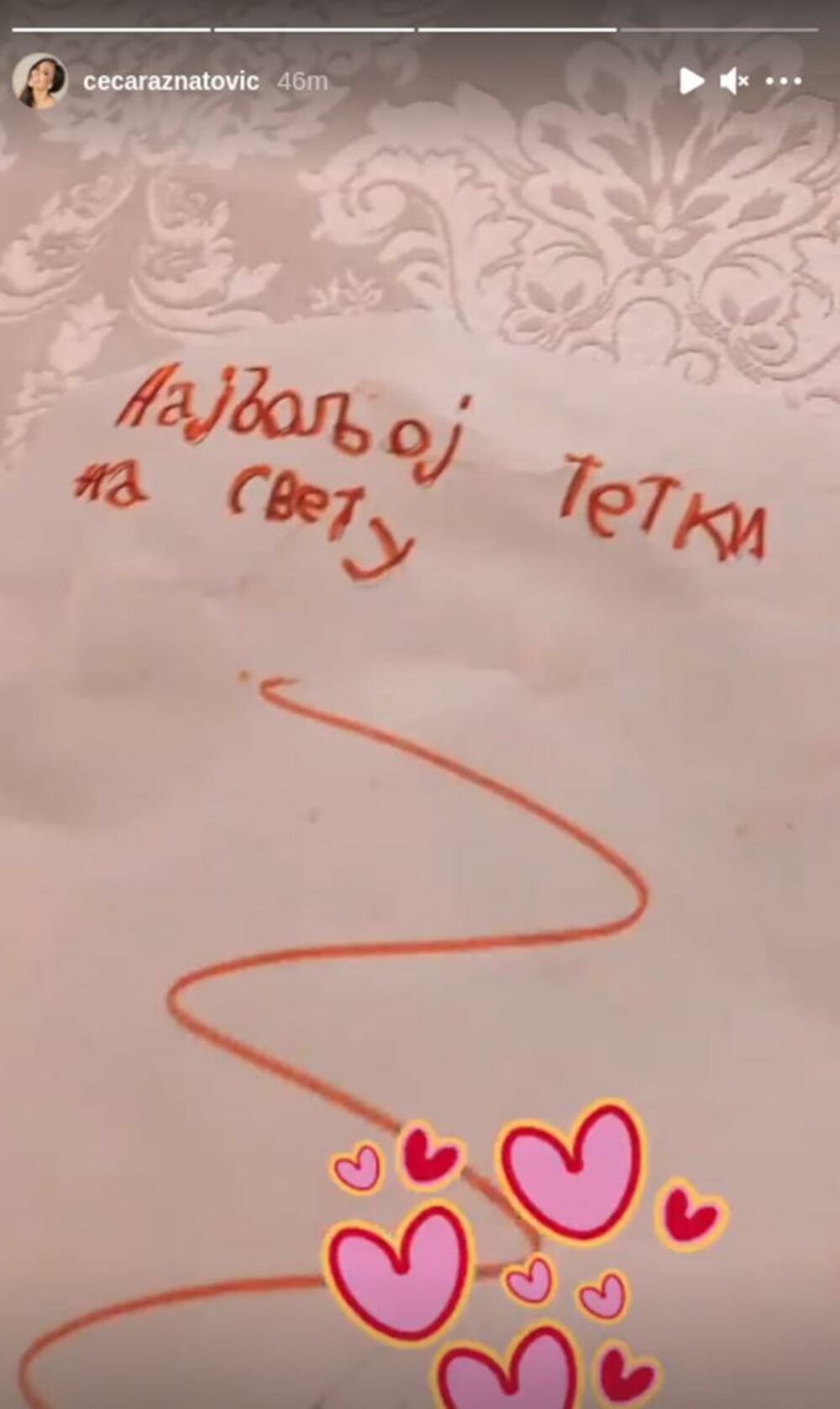 Svetlana Ceca Ražnatović