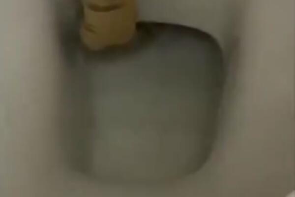 HTEO JE DA SEDNE NA WC ŠOLJU, A ONDA JE UGLEDAO OVU GLAVU! Sve je snimio, ovo je apsolutni HOROR (VIDEO)