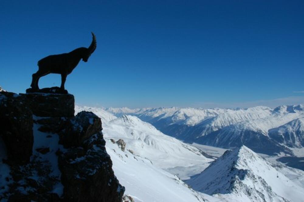 HOROSKOP VAM JE OSUDIO BRAK NA PROPAST: Ovi znaci nikako ne smeju biti zajedno