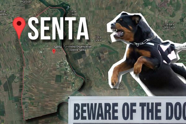 DETALJI UŽASA U SENTI! Dečaka su psi napali u dvorištu, a ne na ulici? Preminuo je čim je stigao u bolnicu, TUGA