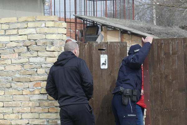 MAJKA SMRTNO NASTRADALOG DEČAKA BI NA SVU MUKU MOGLA DA ODGOVARA? Poznato zašto je držala rotvajlere u dvorištu