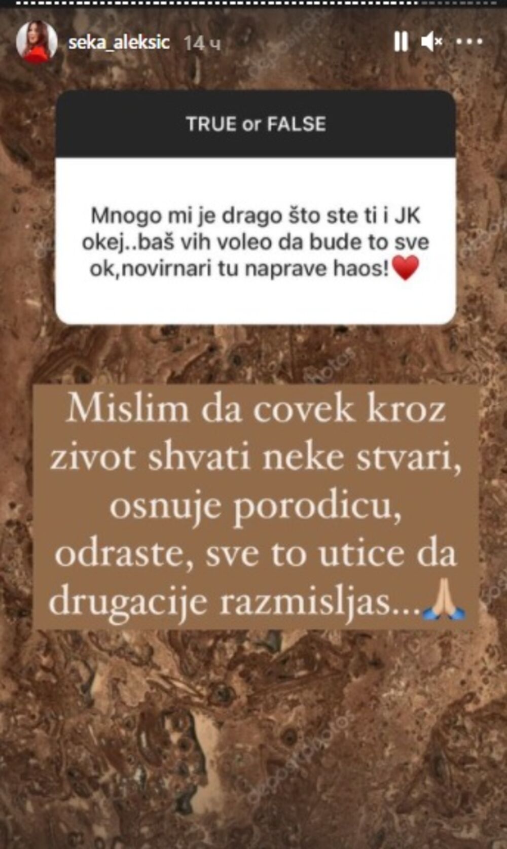 Jelena Karleuša, Seka Aleksić