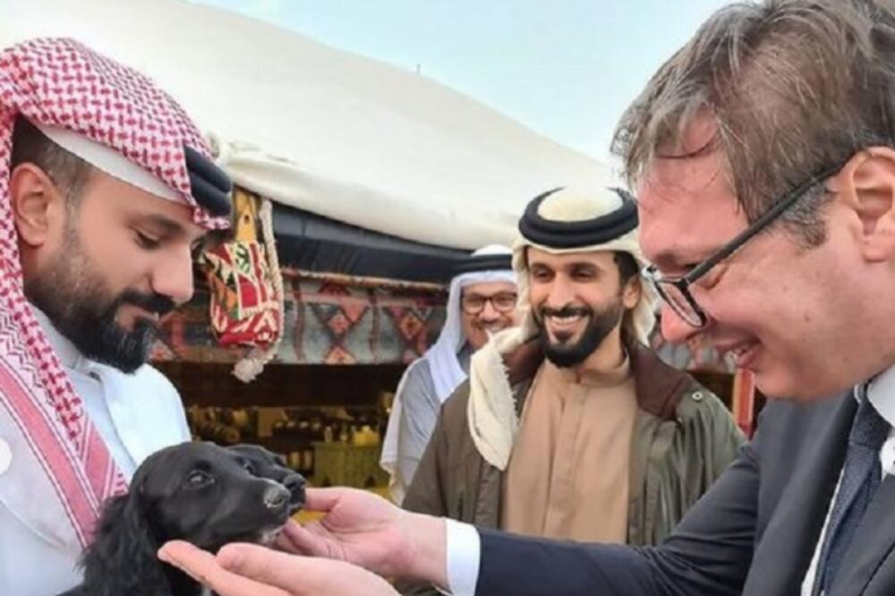PREDSEDNIK VUČIĆ U ISTORIJSKOJ POSETI: Video je poznatu rasu bahreinskih pasa (FOTO)