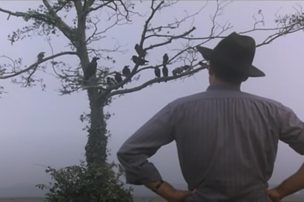 NAJTUŽNIJA I NAJLEPŠA PESMA O ODNOSU OCA I ĆERKE IKAD SNIMLJENA: Znate pesmu, NE ZNATE kontekst (VIDEO)