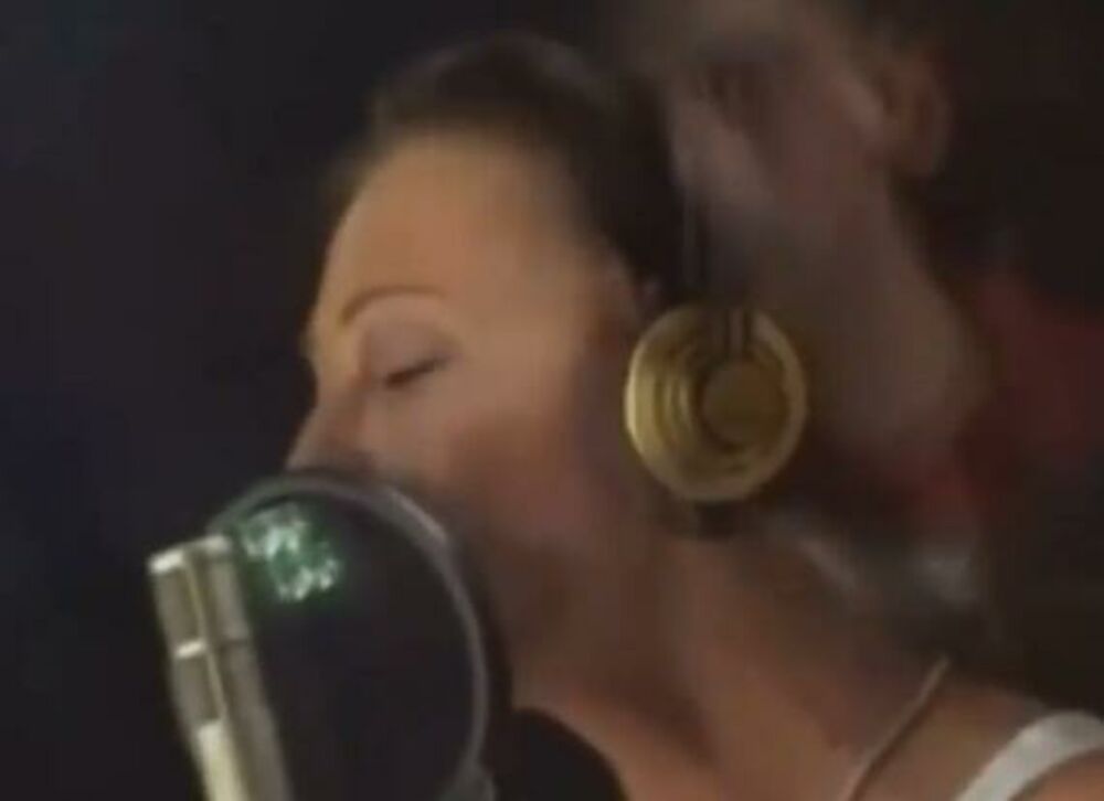 zabava, estrada, pevačica, Ceca Ražnatović