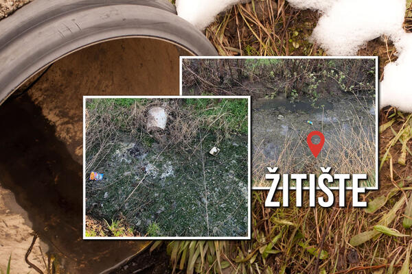 ULICOM SE ŠIRI NESNOSNI SMRAD, NADLEŽNI SASTANČE VEĆ 2 NEDELJE: Građani Žitišta OČAJNI, ovo je IZVOR ZARAZE (FOTO)
