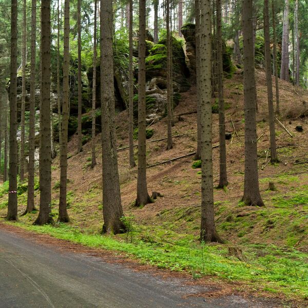 Ljudi su u neverici, zatvaraju se u kuće, čudno im je... U ovom selu u Srbiji se dešava nešto što nikad pre nije!