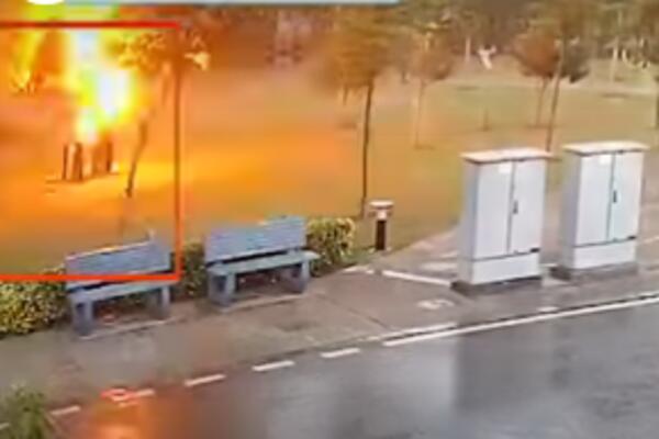 HTELI DA SE SAKRIJU OD KIŠE ISPOD DRVETA: Dogodio se BLJESAK i pali su kao POKOŠENI! (VIDEO)