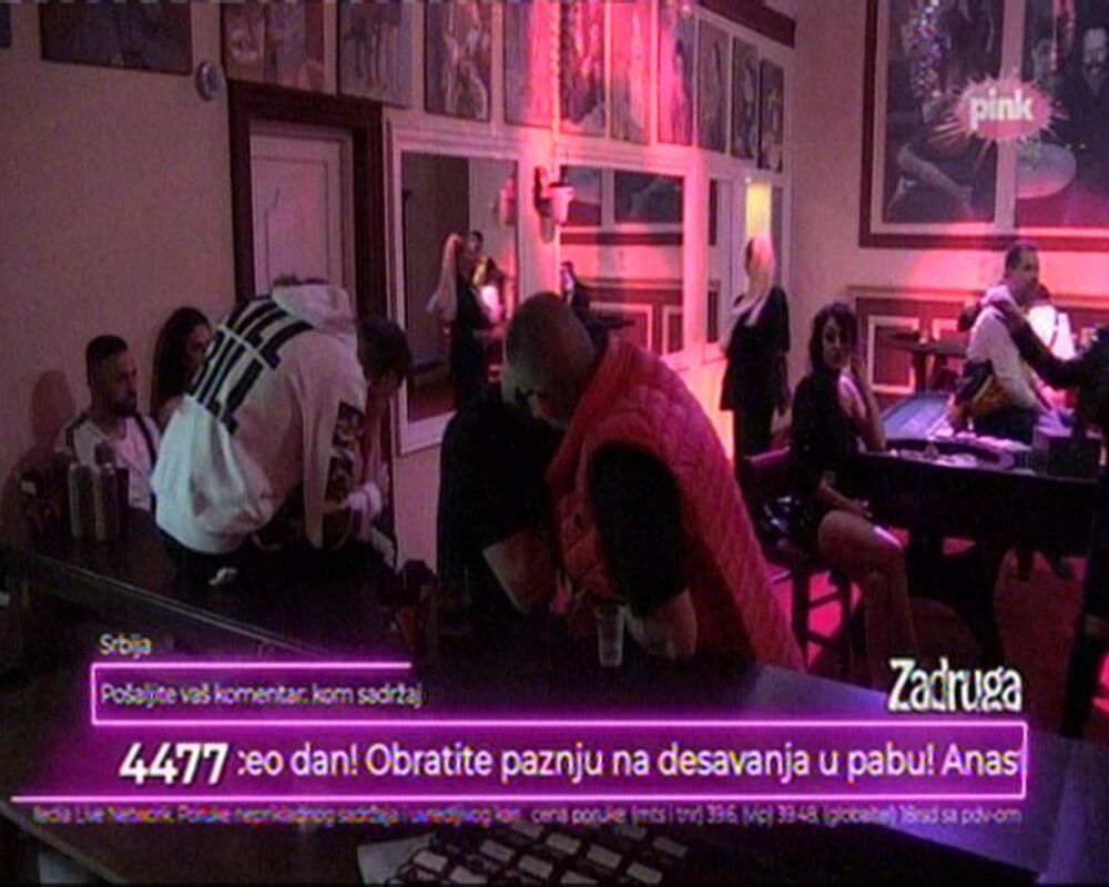 zabava, zadruga, fran pujas