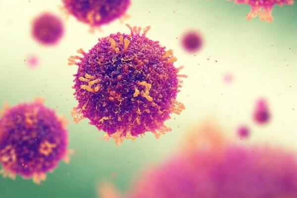 JOŠ TRI SLUČAJA MALIH BOGINJA U BEOGRADU: Dvoje iz ISTE PORODICE